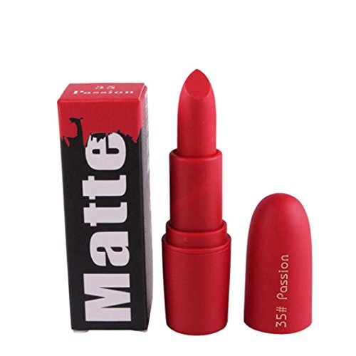 Mr.Macy Lipsticks Make Upï¼ŒMoisturizer Smooth-ong Lasting-Mini Matte Lipstick Set-Liquid Colorstay Organizer-5ce Red Lipstick (E)