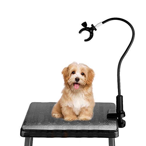Pet Hair Dryer Holder - 360° Rotatable Hands-Free Grooming Stand for Dogs and Cats, Aluminum Alloy Gooseneck with Clamp Mount