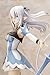 Kotobukiya Shining Blade Altina Ani-Statue
