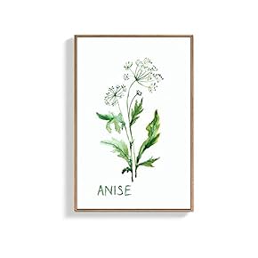 Framed Canvas Wall Art for Living Room, Bedroom Anise Canvas Prints for Home Decoration Ready to Hang - 16x24 inches