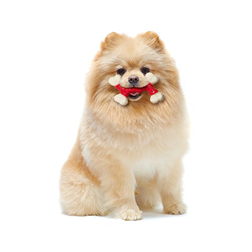 Nylabone Power Chew DuraChew Double Bone Bacon Dog Chew Toy, X-Small