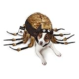 Zack & Zoey Fuzzy Tarantula Costume for Dogs, 20