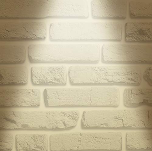 LUXTER (12 Pack) 4 inch Ultra-Thin Round LED Recessed Panel Light with Junction Box, Dimmable, IC Rated, 12W (60 Watt Repl.) 4000K Bright Light 900 Lm. No Can Needed ETL & Energy Star Listed