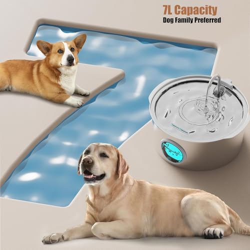 Automatic Dog Water Fountain, Stainless Steel Drinking Dispenser for Large Dogs Cats, 7L/236oz/1.8G