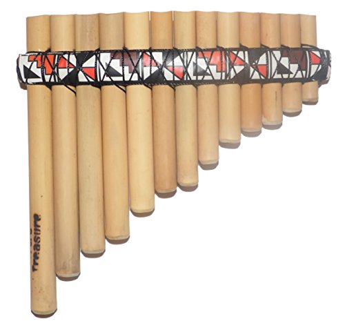 Beginners Bamboo Pan Flute Case Guide Book Amp Online