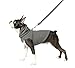 Gooby Fleece Vest Hoodie Dog Sweater - Gray, Small - Warm Pullover Dog Hoodie with O-Ring Leash for Small to Medium Dogs