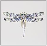 Image de Tiffany Style: 170 Years of Design