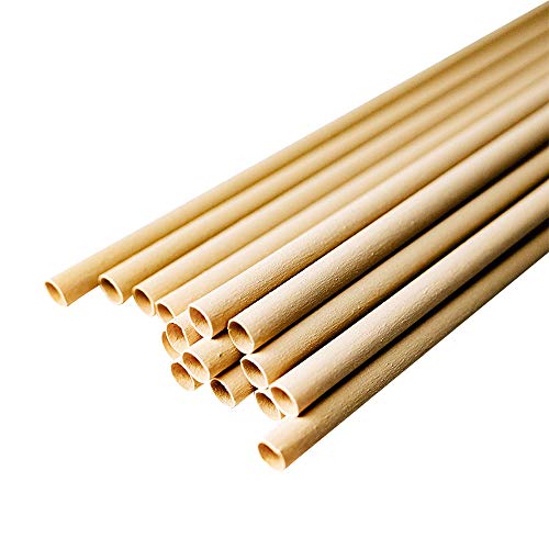 BIOZOYG Bambus Trinkhalme plastikfrei 23cm Ø 6mm I stabile Trinkstäbchen Cocktailhalme Natur I Trinkröhrchen für…