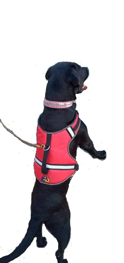 Buy Pet Body Belt Harness, Pet Body 