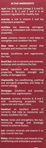 SURYA BRASIL – HENNA CREAM FOR GRAY COVERAGE, SEMI PERMANENT NATURAL HENNA DEEP CONDITIONING HAIR COLOR TREATMENT, BLACK, 2.37 OZ / 70 ML