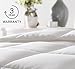 WEEKENDER Comforter Duvet Insert California King White Quilted Down Alternative All Season Microfiber - California King - Box Stitched