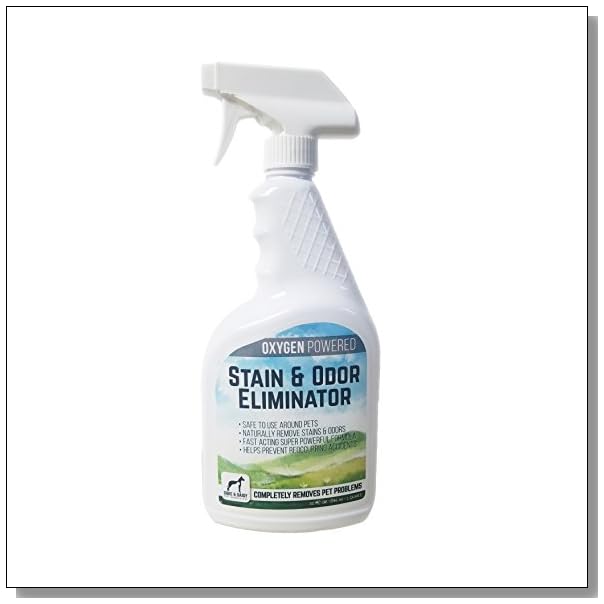 remove cat pee from clothes