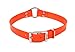 Remington Orange 1-Inch by 18-Inch Waterproof Dog Collar