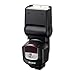 Sony HVLF43M High Power Flash with Quick Shift Bounce (Black)