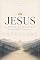 Livro JESUS: A Fonte da Mansidão (Jesus — A Fonte de Toda Transformação Livro 8)