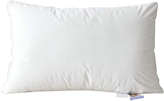 Amazon Com Ueu Skin Friendly Pillows For Sleep Hotel Collection