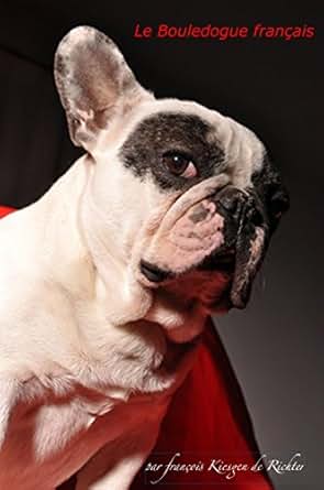 Le Bouledogue Francais Vif Joueur Facile à Vivre