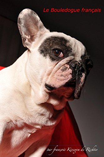 Le Bouledogue Francais Vif Joueur Facile à Vivre