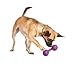 PetSafe® Busy Buddy® Waggle Dog Toy, Extra Small