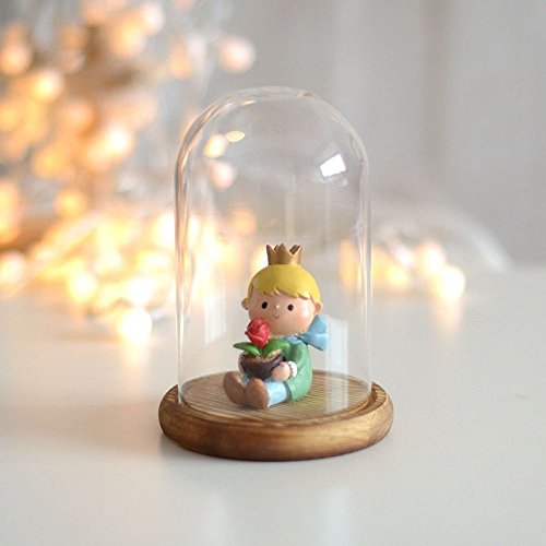 Reelva Decorative Clear Glass Cloche Bell Jar Display Case (D9H15cm)