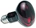 Zoo Med Nocturnal Infrared Heat Lamp 50 Watts