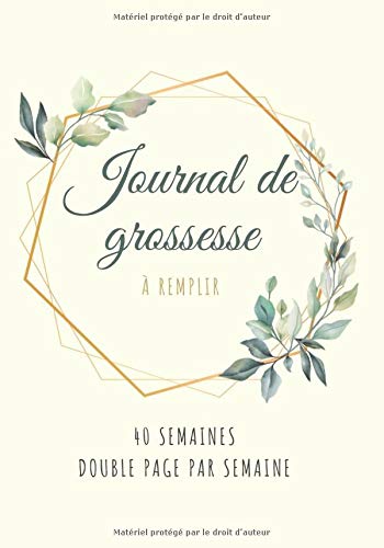 Journal De Grossesse A Remplir Carnet De Grossesse A Remplir Livre De Grossesse A Remplir Durant 9 Mois Cadeau Pour Femme Enceinte French Edition Devenir Maman Editions Amazon Com Books