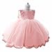 iEFiEL Baby Girls Lace Bowknot Flower Dress Wedding Pageant Baptism Christening Tutu Gown