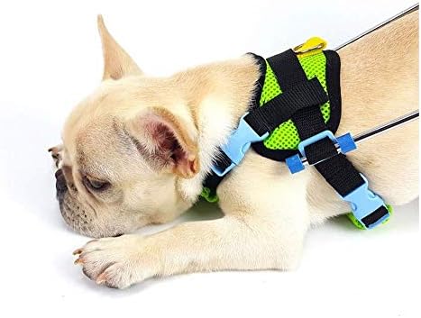 携帯用調節可能な犬用車用ペット車椅子 Xxs Xl 背の高さ16 68 Cm 体重1 50 Kg 後脚の修理 Xs 猫の親友 サイズ 軽量アルミ合金 さいず 期間限定 Xs