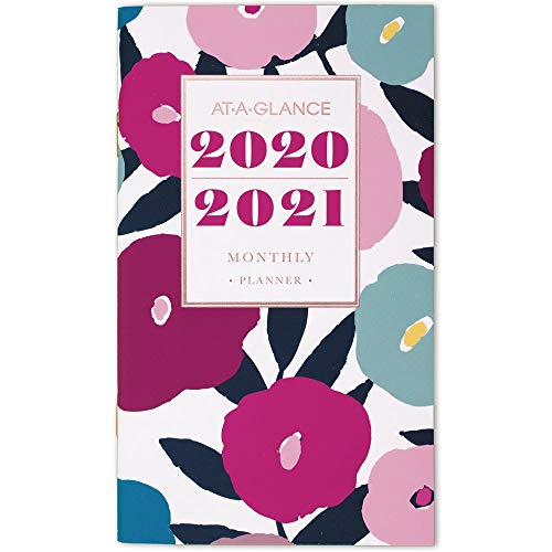 AT-A-GLANCE 2020-2021 Monthly Pocket Planner, 2 Year, 3-1 ...