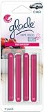 Glade Vent Sticks Car and Home Air Freshener, Fruit Explosion Scent (4 Sticks)