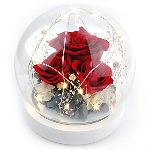 Forever Flowers Preserved Roses Gift for Women Mom Girlfriend Wife - Fresh Real Roses Eternal Flowers Elegant Present for Valentine's Day Birthday Anniversary Wedding Mother's Day (Sparkle Red)