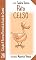 Livro Pato Celso: A reserva florestal do fundo do quintal