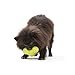WEST PAW Zogoflex Tux Treat Dispensing Dog Chew Toy – Interactive Chewing Toy for Dogs – Dog Games for Aggressive Chewers, Fetch, Catch – Holds Kibble, Treats, Small 4