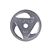 CAP Barbell 2-Inch Olympic Grip Weight Plates, Single, Gray, Various Sizes, 45 lb