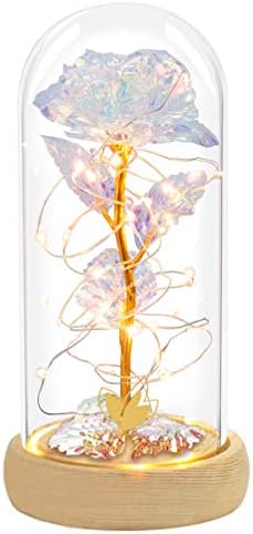 Galaxy Rose カラフルなバラ 造花 美女と野獣のバラ ドームガラスにカラフルな Galaxy Rose カラフルなバラ 造花 美女と野獣のバラ ドームガラスにカラフルな