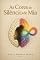Livro As Cores do Silêncio de Mia
