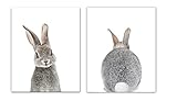 Baby Nursery Wall Decor Prints- Set of 2 UNFRAMED Wall Print 8x10 Baby Bunny Front and Back Photographic Print