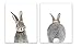 Baby Nursery Wall Decor Prints- Set of 2 UNFRAMED Wall Print 8x10 Baby Bunny Front and Back Photographic Print