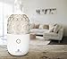 Thera-B Essential Oil Diffuser by Deneve - Best Top Rated Ultrasonic Aromatherapy Oils Humidifier and Mister - Perfect Decor Gift for a PeacefulHome Yoga Meditaion Workout or Office Space