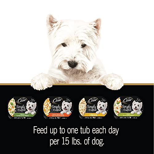 CESAR SIMPLY CRAFTED ADULT WET DOG FOOD MEAL TOPPER, VARIETY PACK, 1.3 OZ TUB, 24 COUNT (PACK OF 1)
