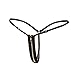 MASS21 Women Sexy Underwear Hot Sexy G-String Thong with Zipper One Size