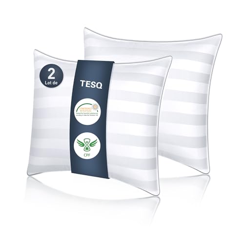 TESQ Oreiller 60x60 cm - Oreillers Lot de 2 Luxe Hôtelier au Remplissage Amélioré, Confortable et Respirant Certifié Oeko-TEX, Idéal pour Dormeurs sur Le Côté, Le Dos et Le Ventre, Lavable