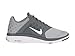 Nike Men's FS Lite Run 3 Wolf Grey/White Cool Grey Running Shoe 9 Men US