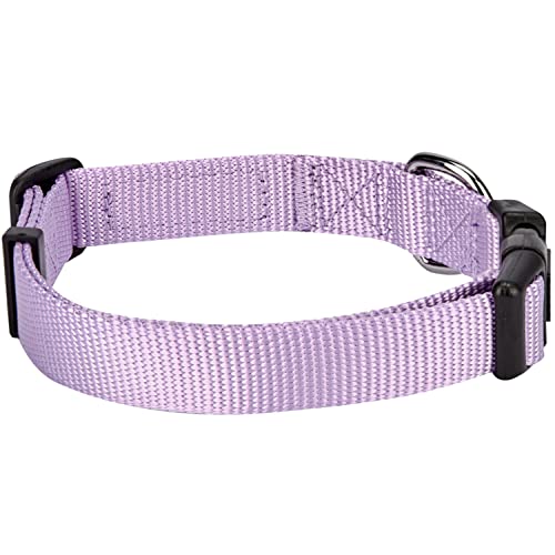 Blueberry Pet Essentials 21 Colors Classic Dog Collar, Lavender, Small