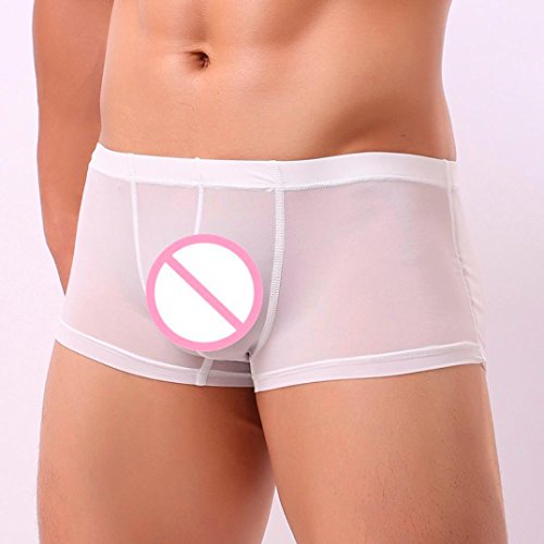 Men Transparent Underwear Boxer ,Vanvler Sexy Male Briefs Shorts Bulge Pouch Underpants (White, M)