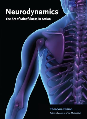 Clinical Neurodynamics: 9780750654562: Medicine & Health Science