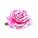 Ever Fairy Rose Flower Hair Clip Slide Flamenco Dancer Pin up Flower Brooch(10 pack)(10 Color Pack C)