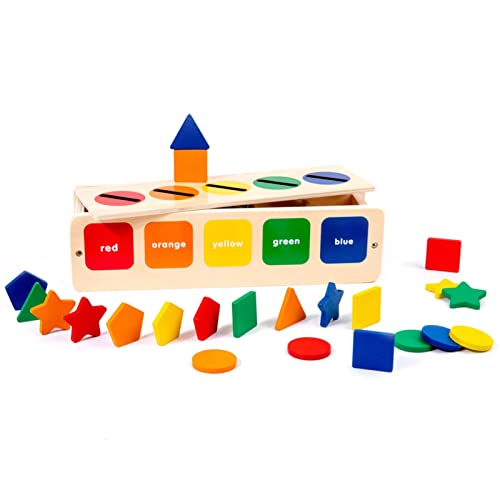 Color Matching Shape Sorting Montessori Toys for Toddlers 1 2 3 Years Old Preschool Educational