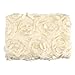 Aaronam Newborn Baby Photography Photo Props 3D Rose Flower Backdrop Beanbag Blanket Rug (White)