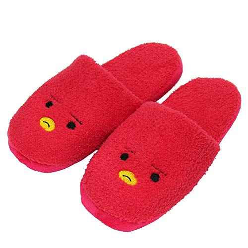 Kpop BTS BT21 Plush Slippers Bangtan 